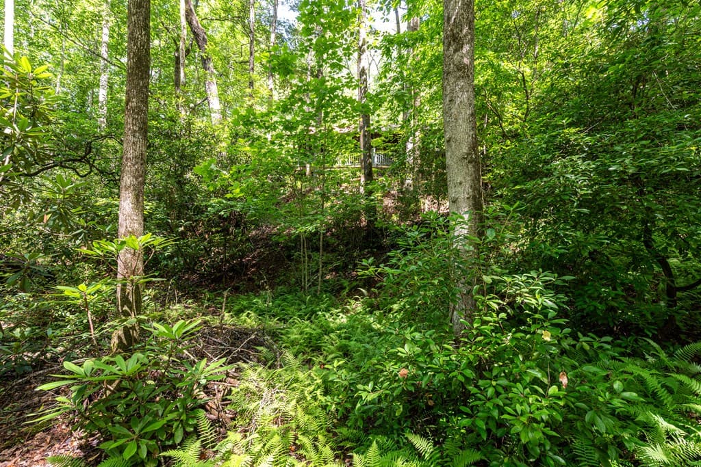 211 Red Oak Forest Lane, Murphy NC 28906 - Photo