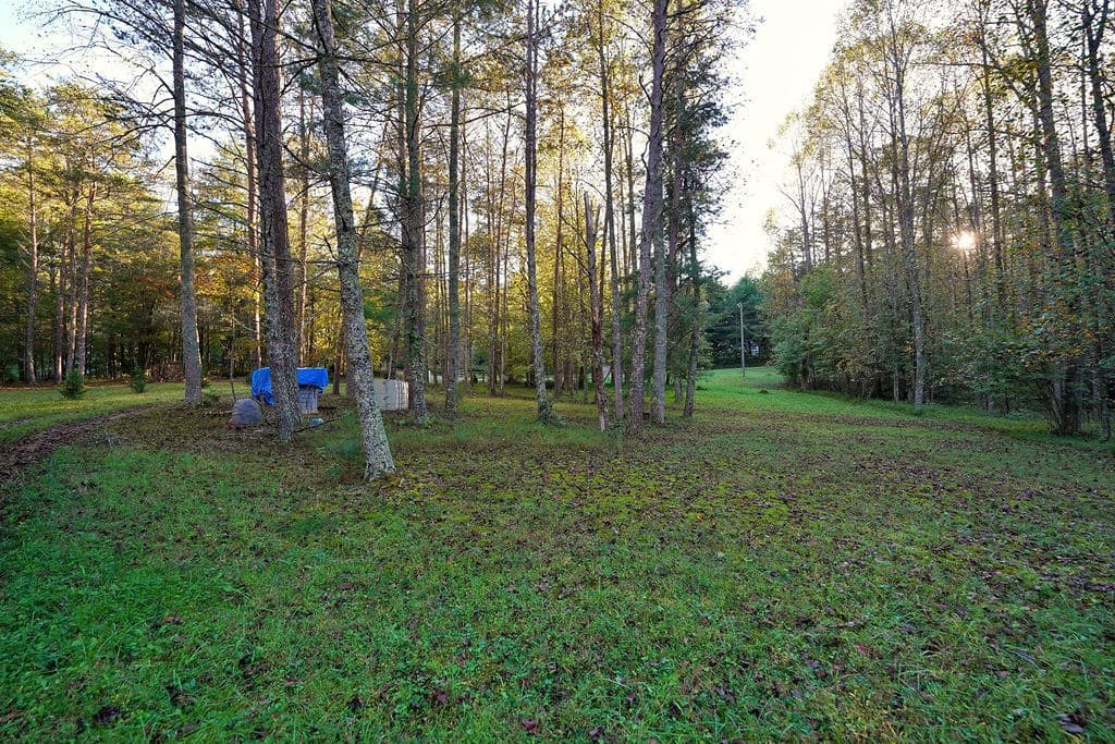 1841 Old Bucktown Road, Ellijay GA 30536 - Photo