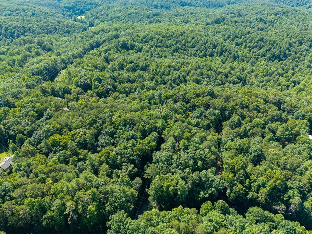 955 Lower Tails Creek Road, Ellijay GA 30540 - Photo