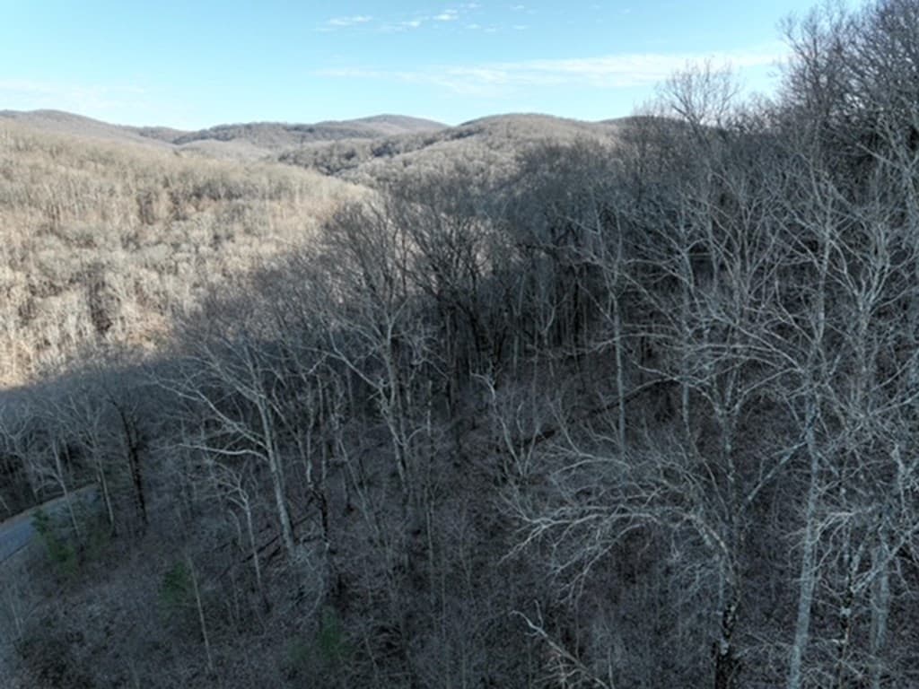 249 Andes Ridge, Ellijay GA 30536 - Photo