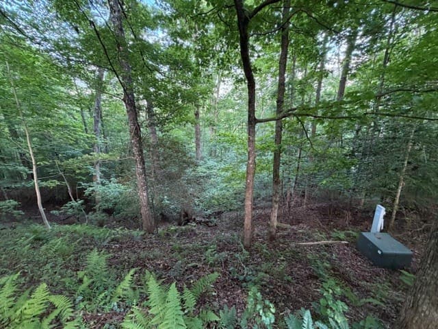 Lot 59 Quiet Mountain Trail, Murphy NC 28906 - Photo