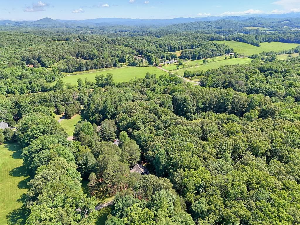 151 Wild Acres Road, Blairsville GA 30512 - Photo