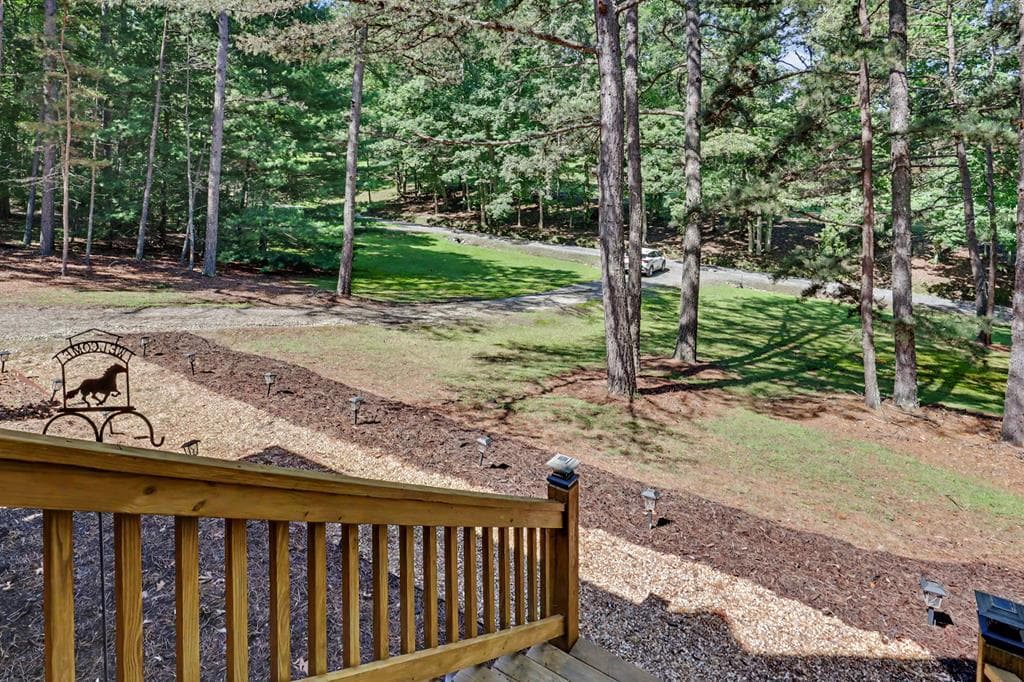 151 Wild Acres Road, Blairsville GA 30512 - Photo