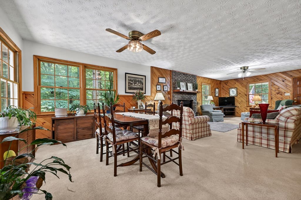 221 Shade Tree Lane, Mineral Bluff GA 30559 - Photo