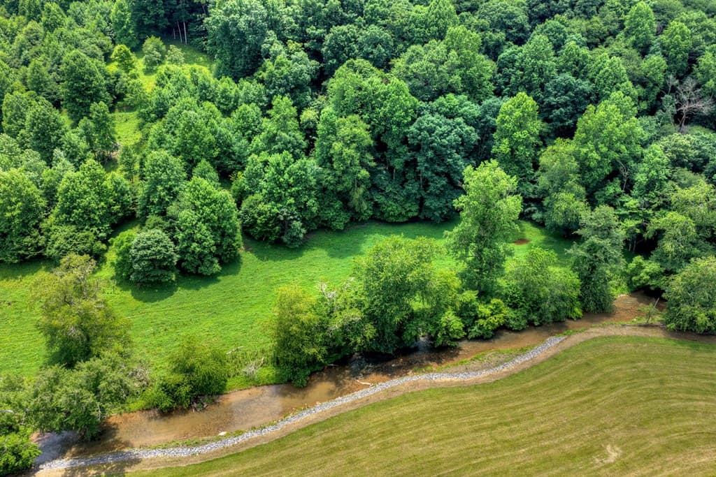 221 Shade Tree Lane, Mineral Bluff GA 30559 - Photo