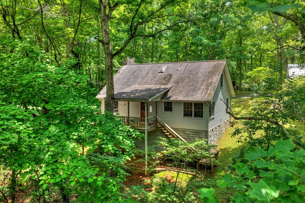 221 Shade Tree Lane, Mineral Bluff GA 30559 - Photo