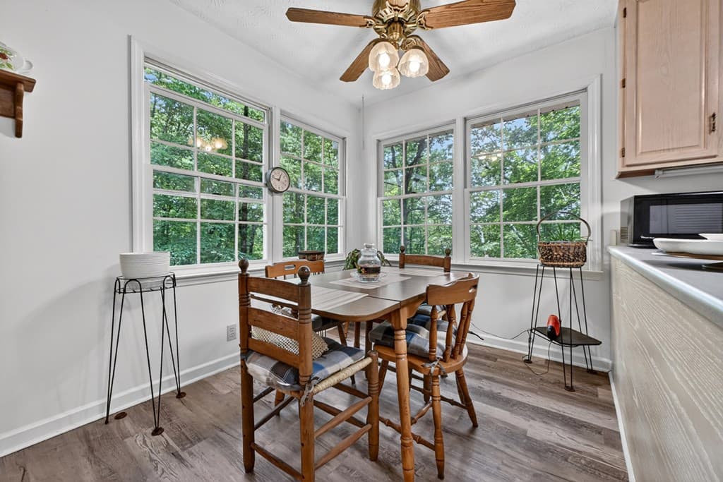 221 Shade Tree Lane, Mineral Bluff GA 30559 - Photo