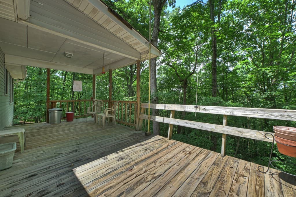 221 Shade Tree Lane, Mineral Bluff GA 30559 - Photo