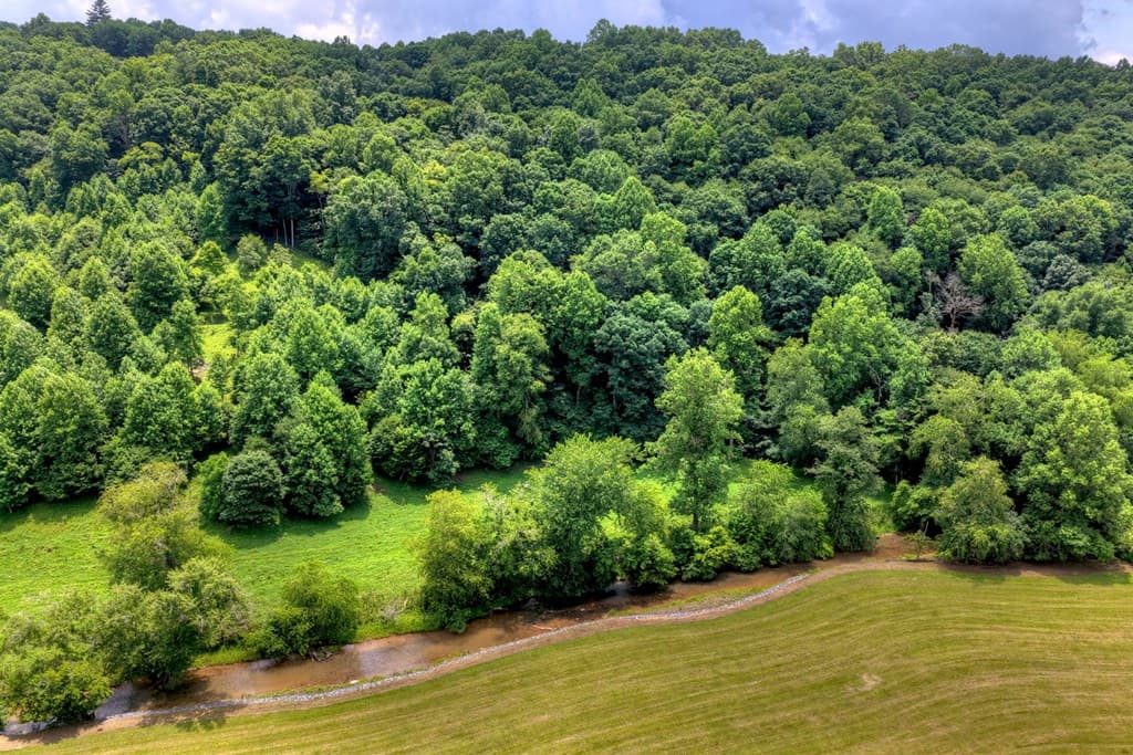 221 Shade Tree Lane, Mineral Bluff GA 30559 - Photo