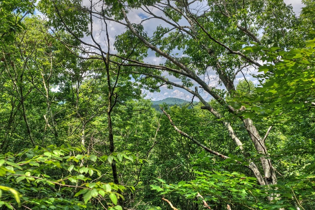 221 Shade Tree Lane, Mineral Bluff GA 30559 - Photo