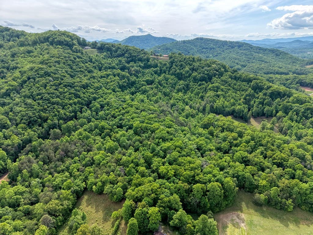 LOT 125 Shiloh Drive, Hayesville NC 28904 - Photo