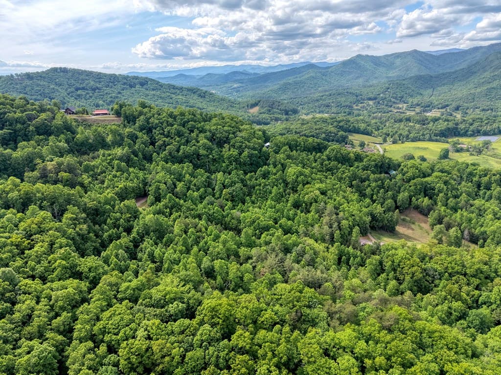 LOT 125 Shiloh Drive, Hayesville NC 28904 - Photo