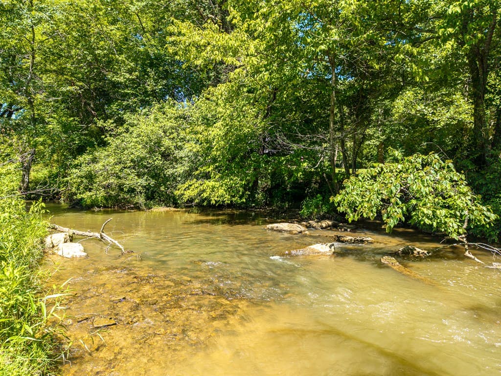 965 Bell Road, Mineral Bluff GA 30559 - Photo