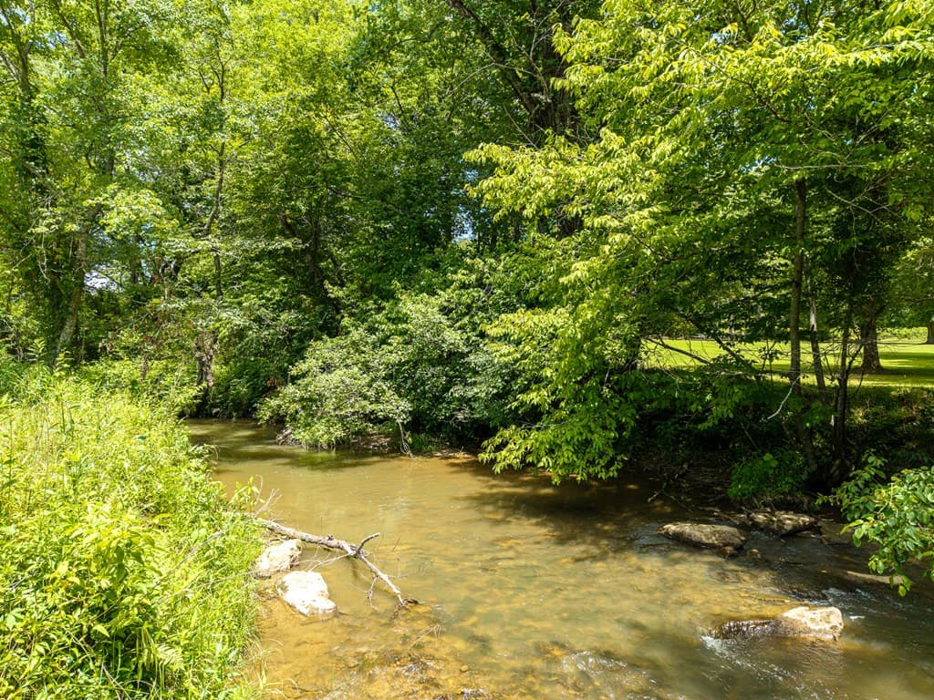 965 Bell Road, Mineral Bluff GA 30559 - Photo