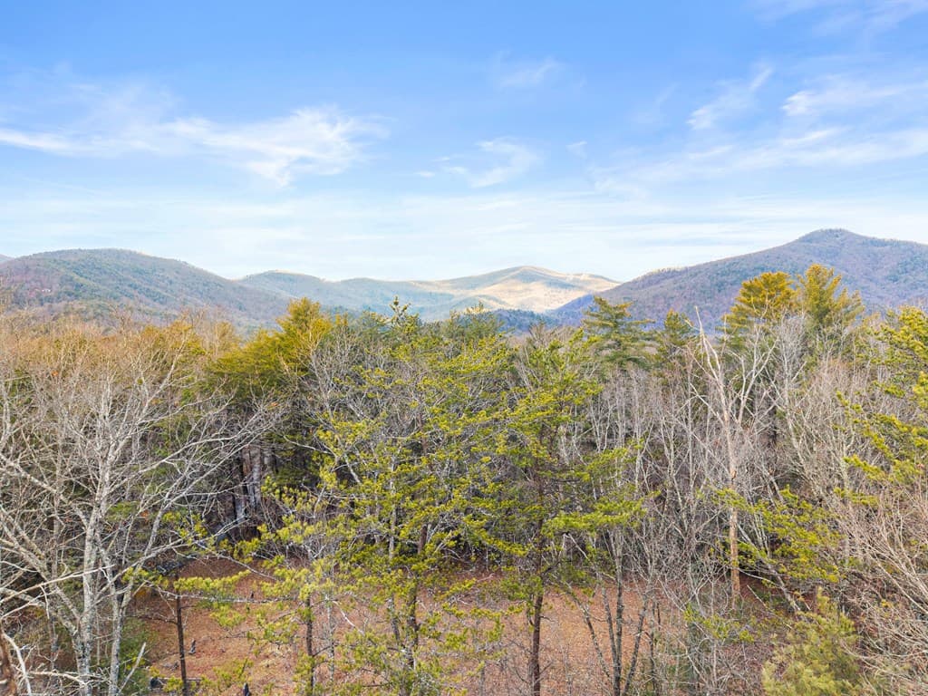 3 Ramblewood Drive, Sautee Nacoochee GA 30571 - Photo