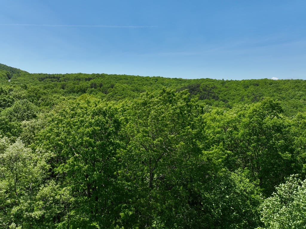 59 St Andrews Way, Ellijay GA 30536 - Photo