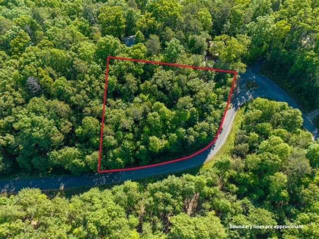 LOT 52 Creek Trail, Ellijay GA 30540 - Photo