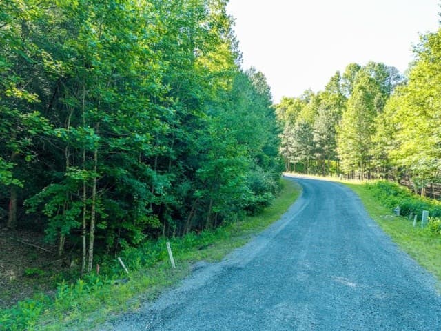 LOT 52 Creek Trail, Ellijay GA 30540 - Photo