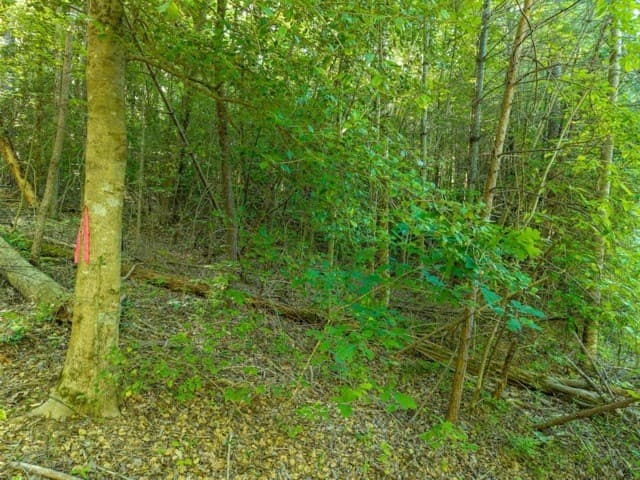LOT 52 Creek Trail, Ellijay GA 30540 - Photo
