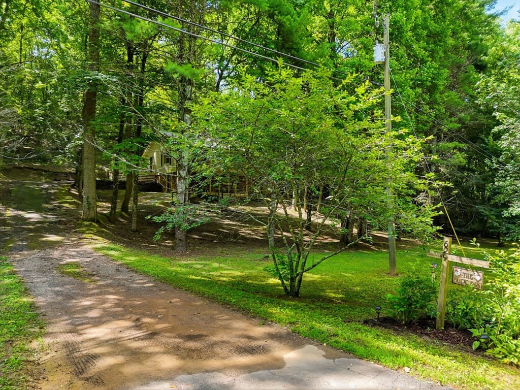 629 Goose Island, Cherry Log GA 30522 - Photo