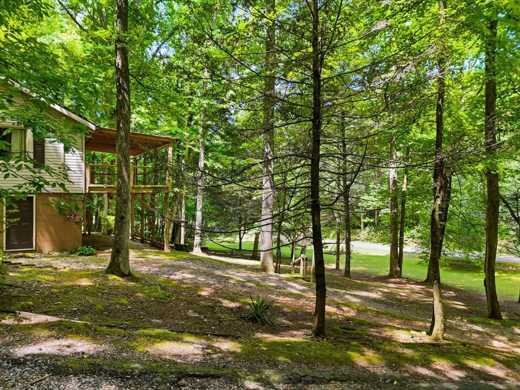 629 Goose Island, Cherry Log GA 30522 - Photo