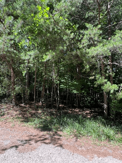 0 Southern Pines Drive, Ellijay GA 30540 - Photo