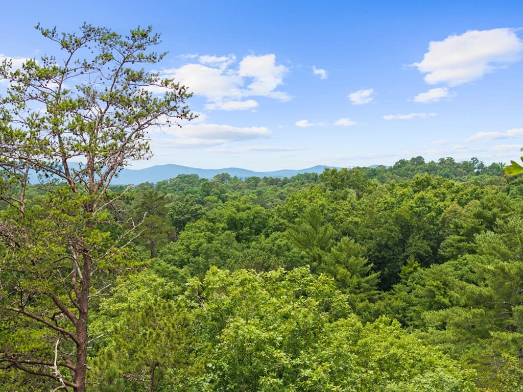 280 Palmetto Drive, Ellijay GA 30540 - Photo