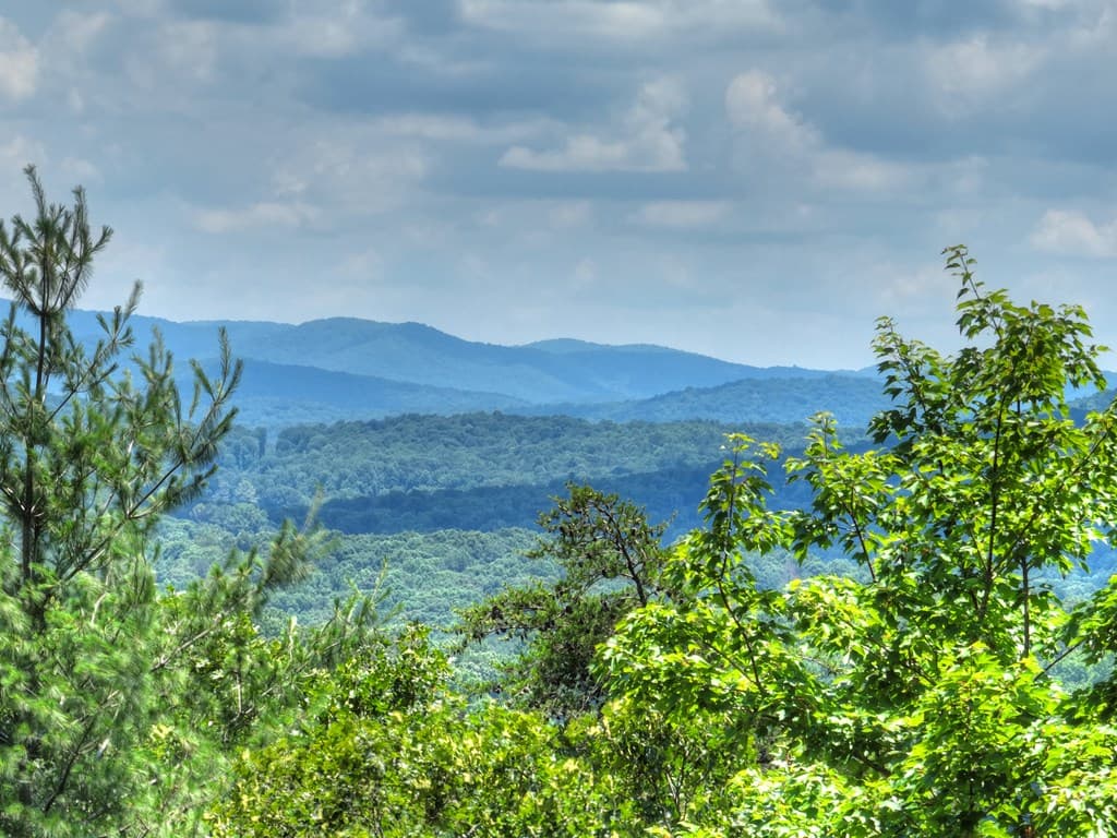 762 Pettit Ridge Road, Ellijay GA 30536 - Photo
