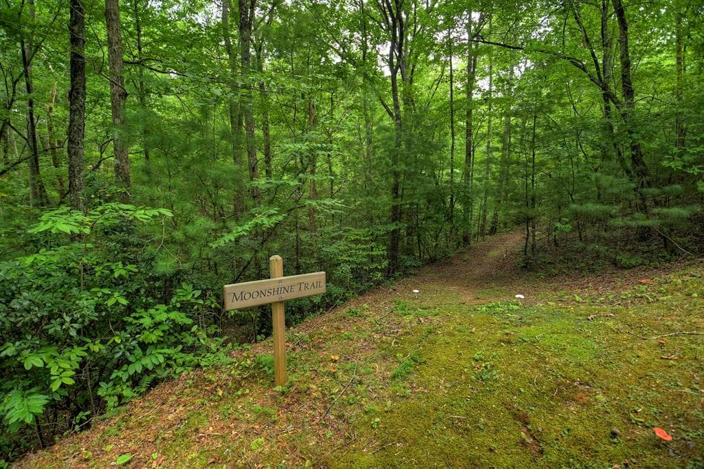 290 Old Anderson Creek, Ellijay GA 30536 - Photo