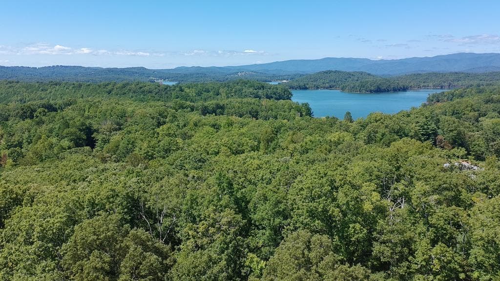 602+557 Hidden Pines Court, Hiawassee GA 30546 - Photo