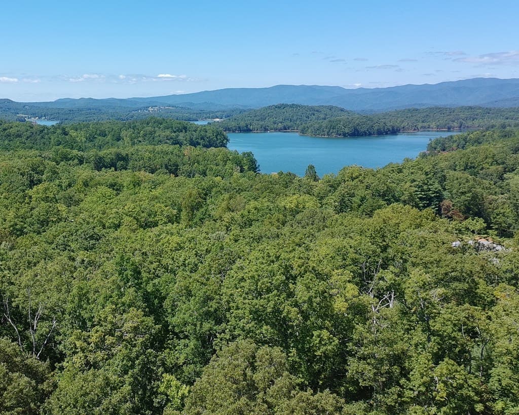 602+557 Hidden Pines Court, Hiawassee GA 30546 - Photo