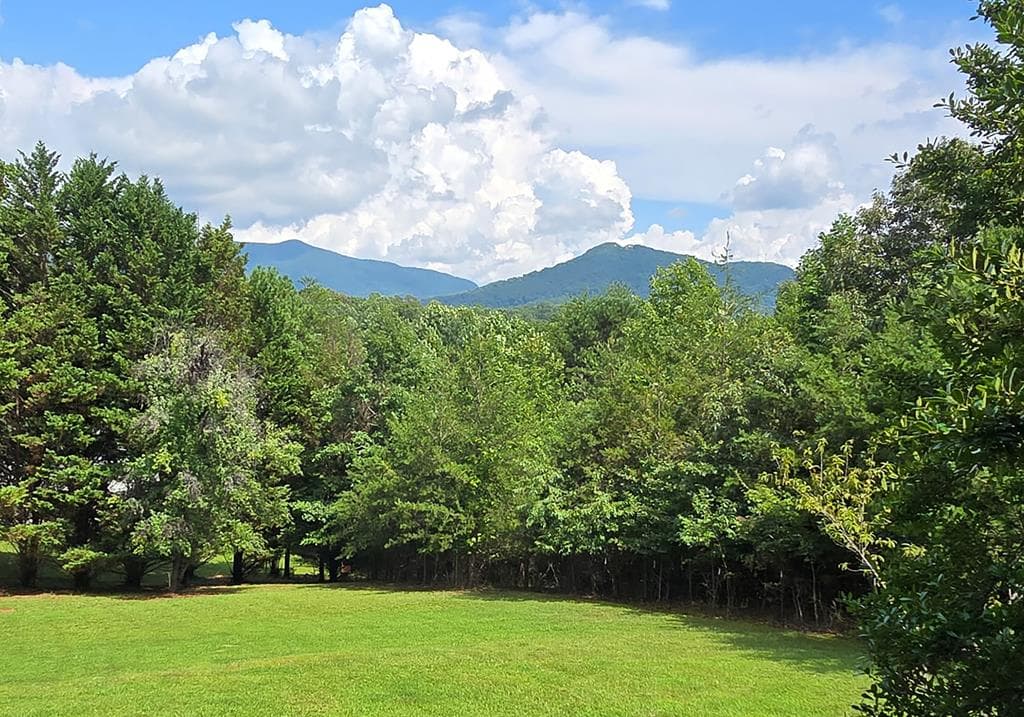 602+557 Hidden Pines Court, Hiawassee GA 30546 - Photo