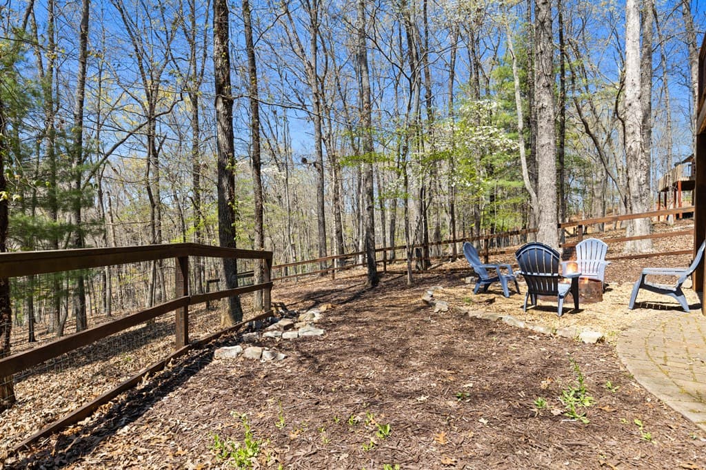 236 Logan Drive, Mineral Bluff GA 30559 - Photo
