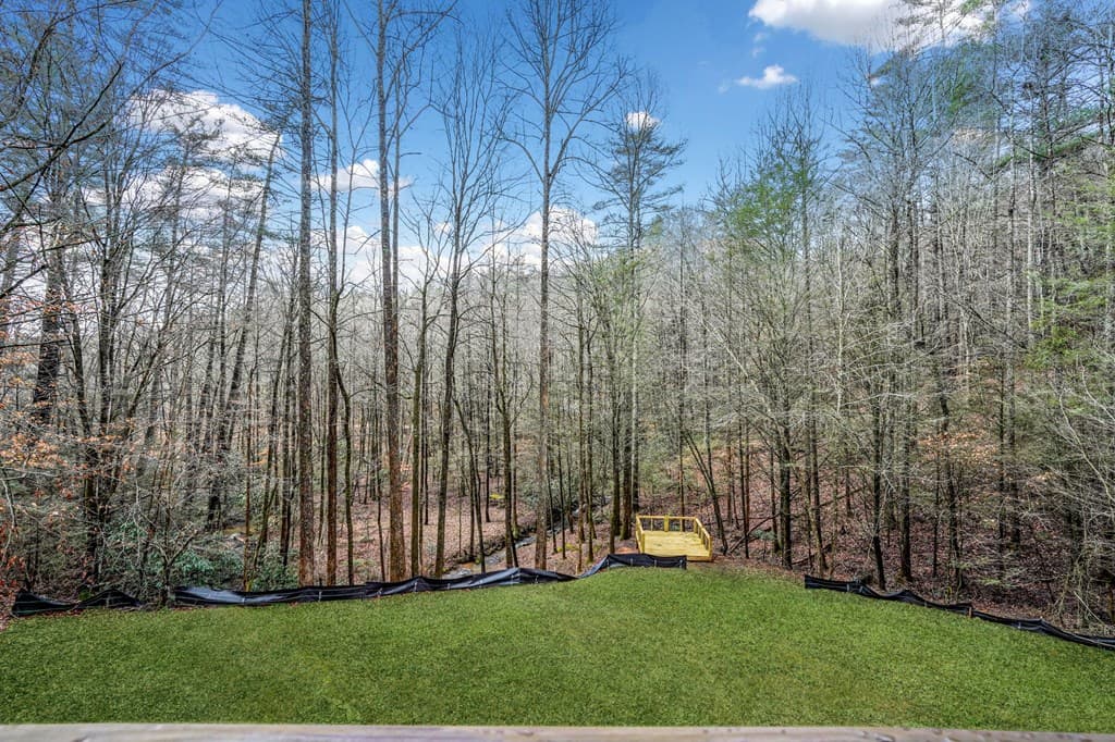 641 Bryant Farm Lane, Ellijay GA 30540 - Photo