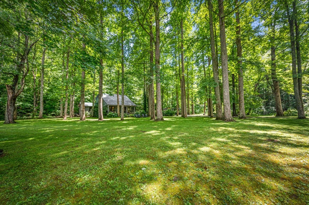 2977 Hwy 2, Blue Ridge GA 30513 - Photo