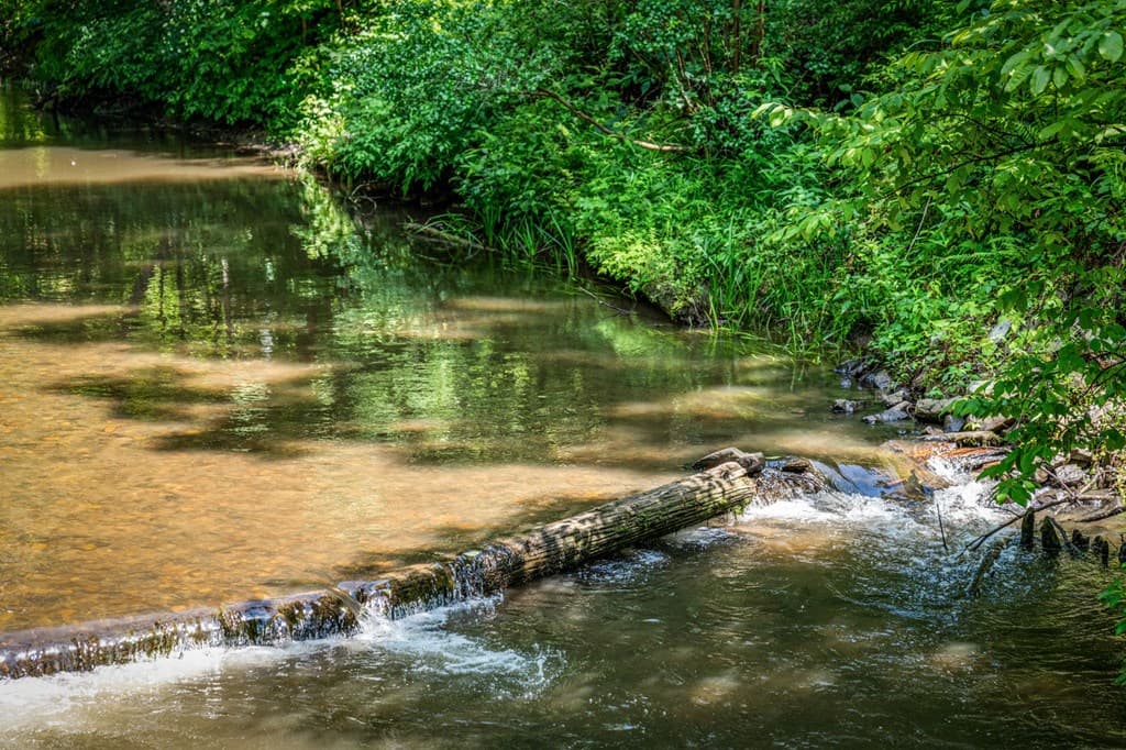 2977 Hwy 2, Blue Ridge GA 30513 - Photo