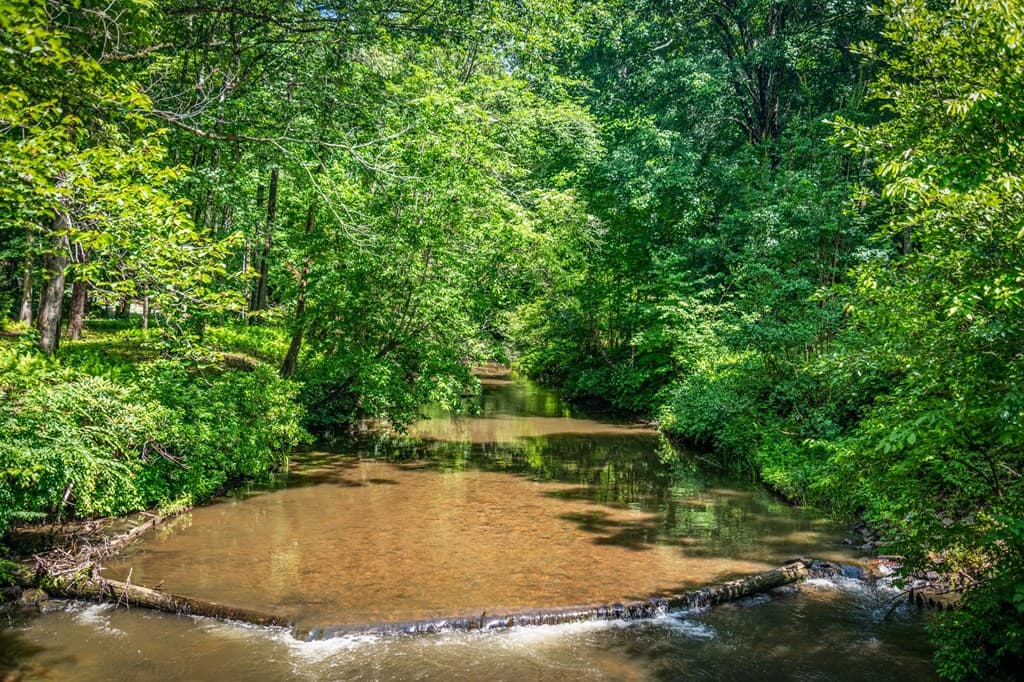 2977 Hwy 2, Blue Ridge GA 30513 - Photo