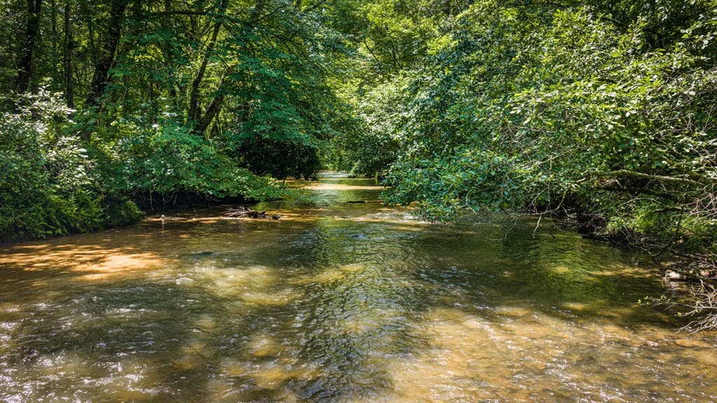 2977 Hwy 2, Blue Ridge GA 30513 - Photo