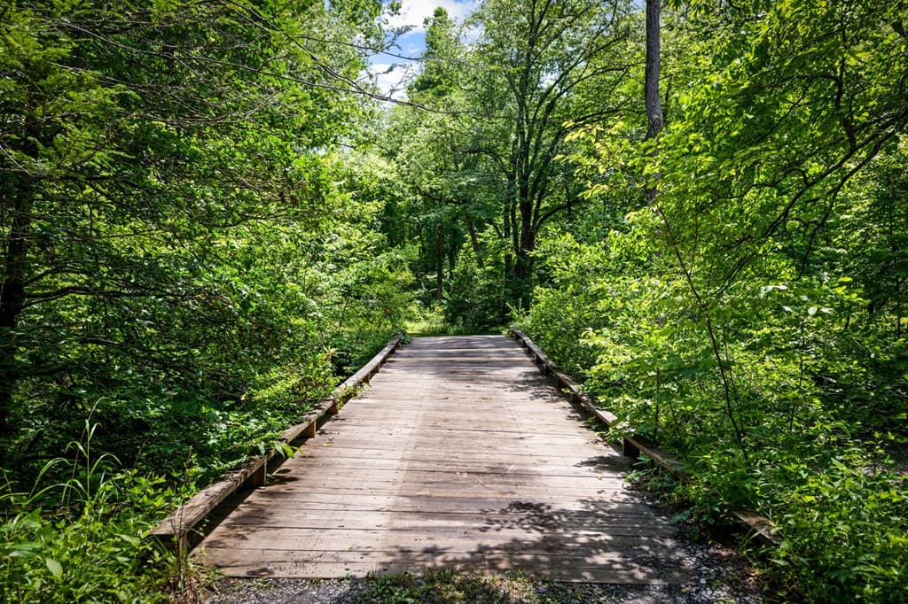 2977 Hwy 2, Blue Ridge GA 30513 - Photo