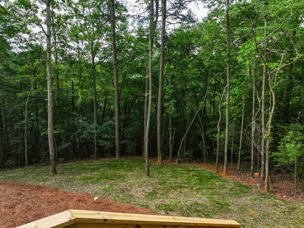 257 Gallery Court, Ellijay GA 30540 - Photo
