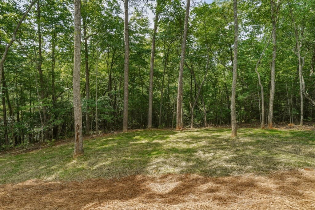 257 Gallery Court, Ellijay GA 30540 - Photo