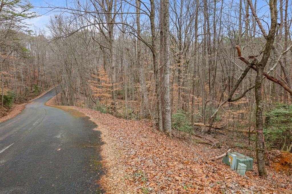 00 Timberland Drive, Ellijay GA 30540 - Photo