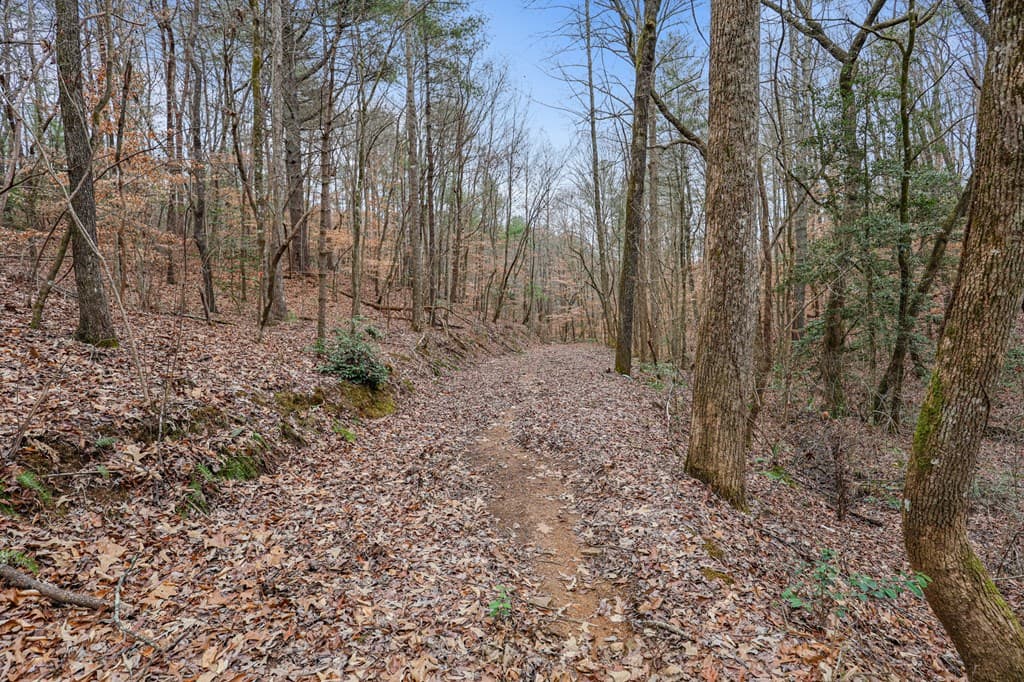 00 Timberland Drive, Ellijay GA 30540 - Photo