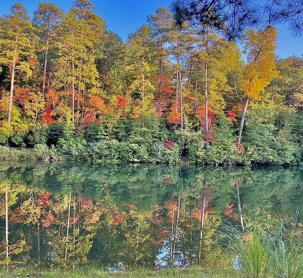 00 Golden Delicious Road, Clarkesville GA 30523 - Photo