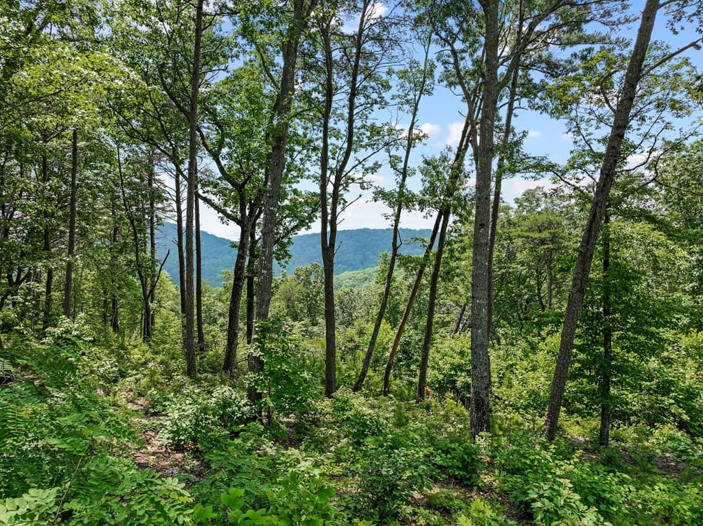 Lot 53 High Summit Drive, Talking Rock GA 30175 - Photo
