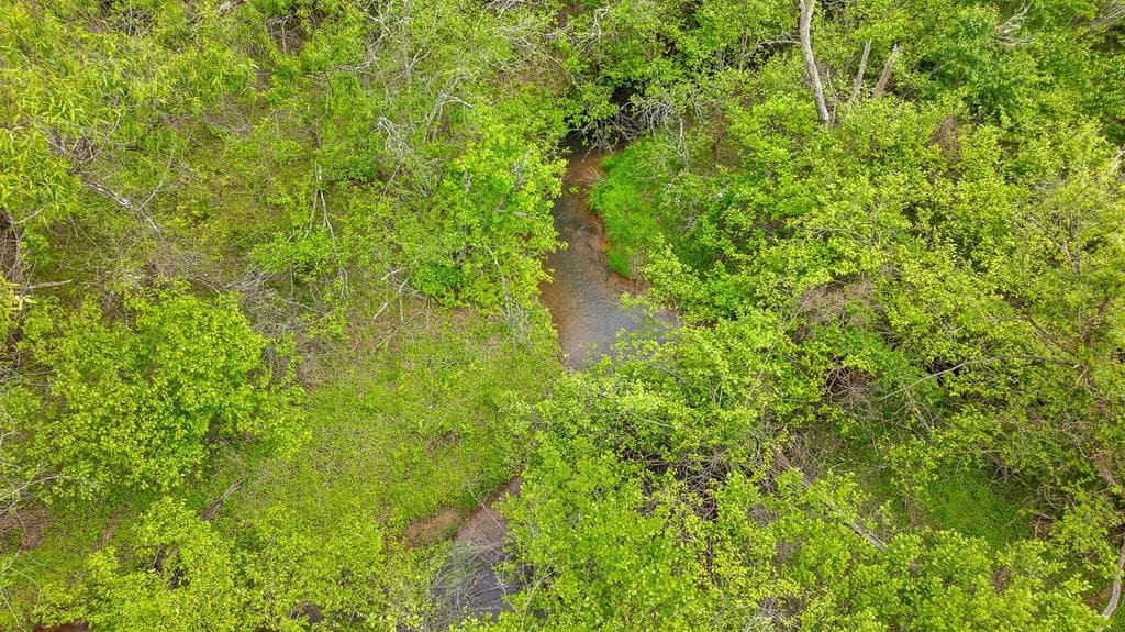 Lot 54 Hickory Lane, Mineral Bluff GA 30559 - Photo