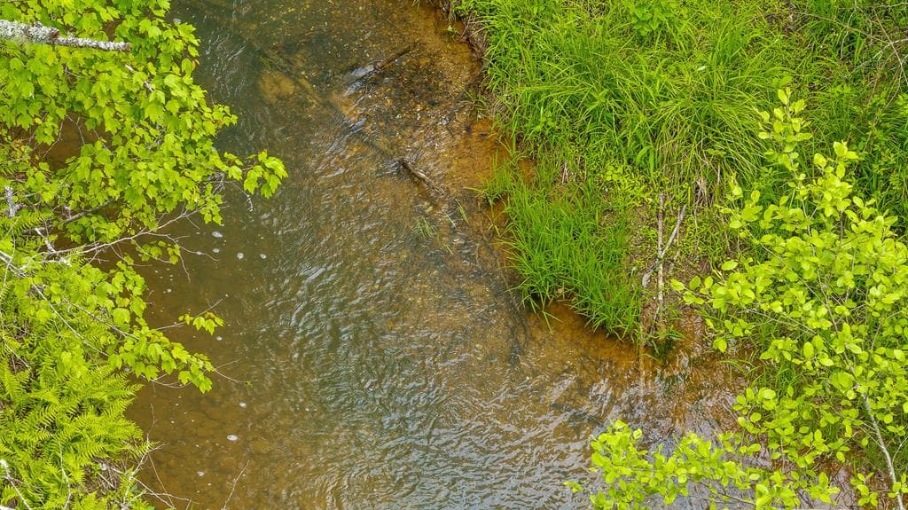 Lot 54 Hickory Lane, Mineral Bluff GA 30559 - Photo