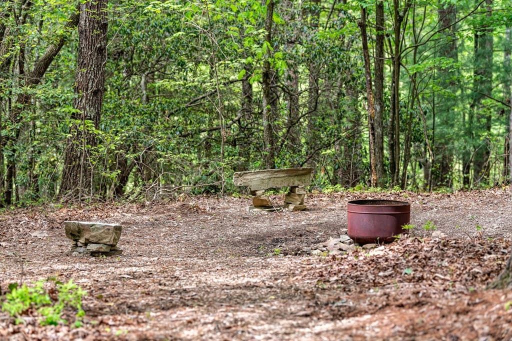 245 Old Anderson Creek, Ellijay GA 30536 - Photo