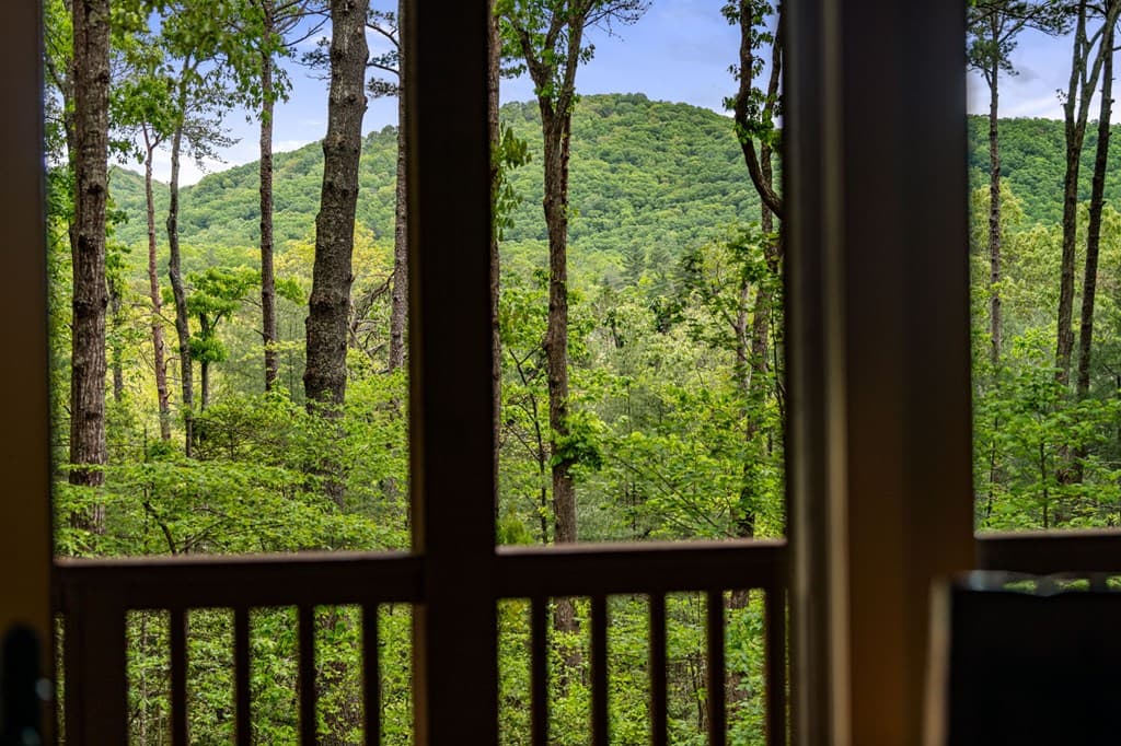 245 Old Anderson Creek, Ellijay GA 30536 - Photo