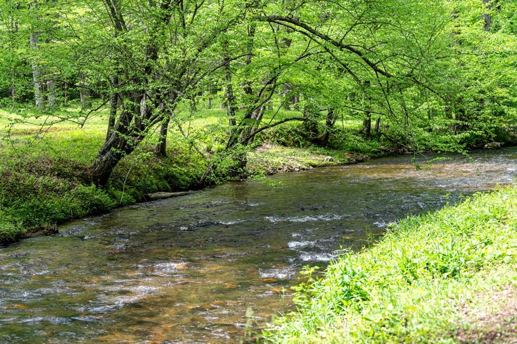 245 Old Anderson Creek, Ellijay GA 30536 - Photo